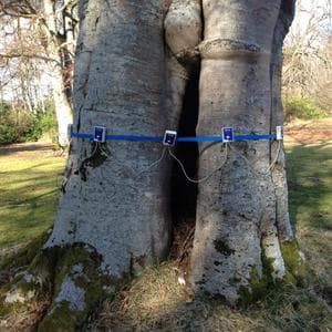 Set up for Internal Decay Testing